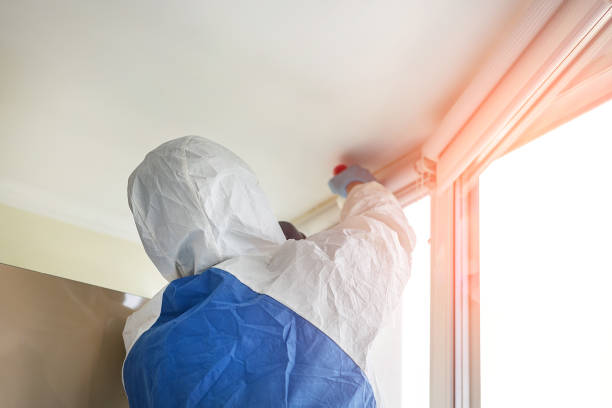 Professional Mold Removal Services in Brier, WA